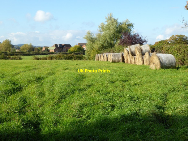Photo 6"x4" Hay bales in a field Guarlford c2016