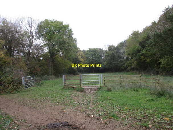 Photo 6"x4" Gates on Brackley Lane Abthorpe c2016