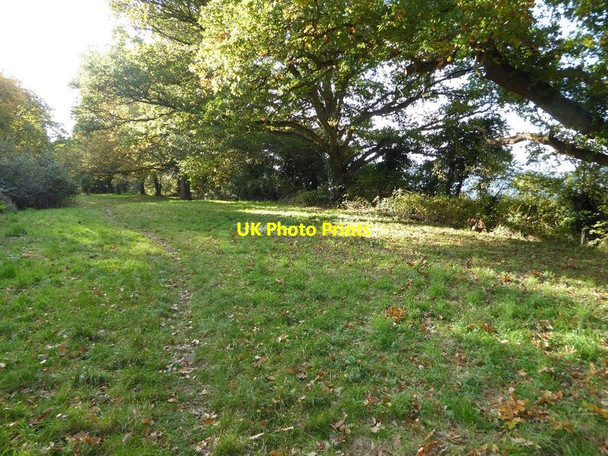 Photo 6"x4" Wood Street on Ox Hill Great Malvern c2016