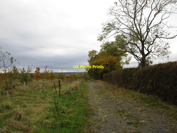 Photo 6"x4" Footpath to Weedon Lois Abthorpe c2016