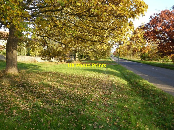Photo 6"x4" Autumn trees on the Guarlford Road Great Malvern c2016