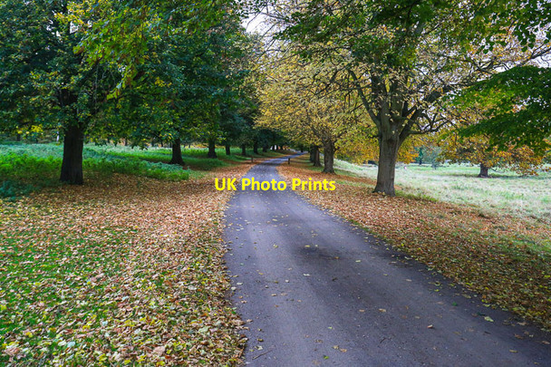 Photo 6"x4" Charlecote Park, private drive Charlecote c2016