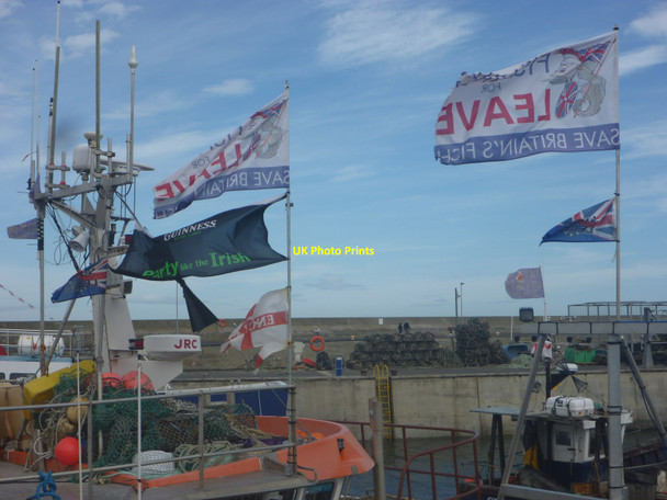 Photo 6"x4" Coastal Northumberland : Brexit Flags, North Sunderland Harbour, Seahouses Seahouses c2016