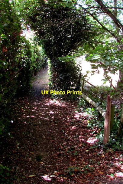 Photo 6"x4" Public footpath towards Frocester Court, Frocester Frocester c2016