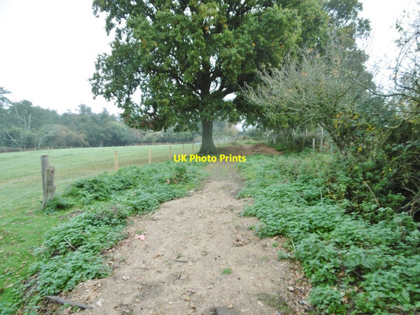 Photo 6"x4" Holton Lee, path East Holton c2016