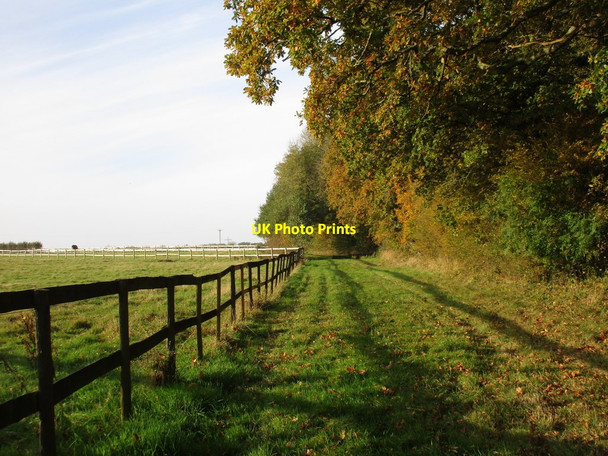 Photo 6"x4" Gallop alongside Bucks Copse Boarhunt c2016
