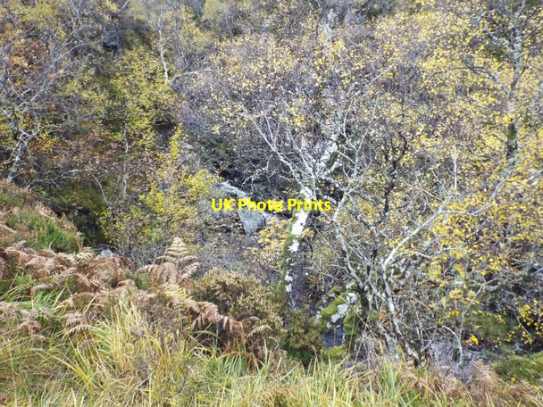 Photo 6"x4" River Canaird in a gorge Doire an Fh\u00f9dair c2016