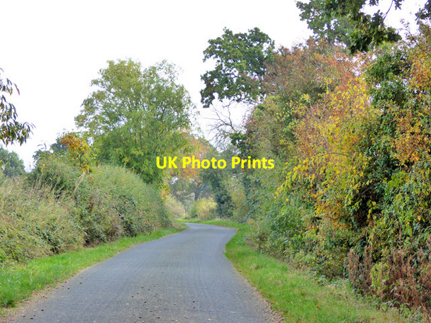 Photo 6"x4" Mary Lane North Great Bromley c2016