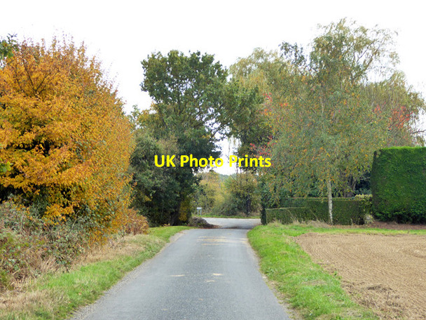 Photo 6"x4" Honeypot Lane Little Bentley c2016