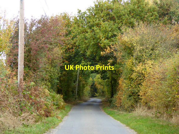 Photo 6"x4" Hilliards Road Little Bentley c2016