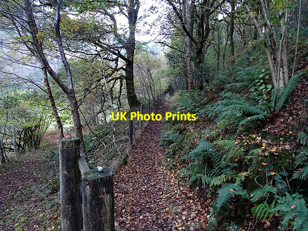 Photo 6"x4" Path dogleg Ystumtuen c2016