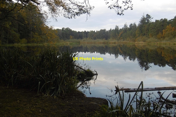 Photo 6"x4" Hare Myre Rosemount\/NO1943 c2016