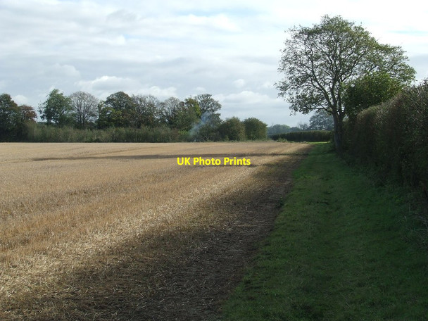 Photo 6"x4" Green Footpath Kennett c2016