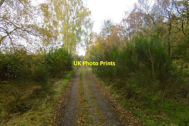Photo 6"x4" Long straight track Muirton of Ardblair c2016