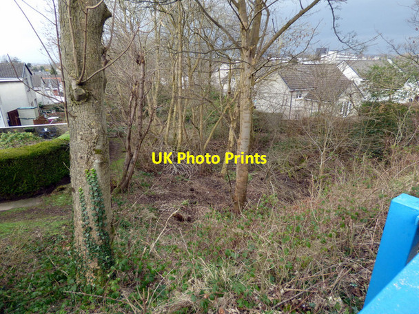 Photo 6"x4" Former Potterhill Branch railway line Paisley c2016