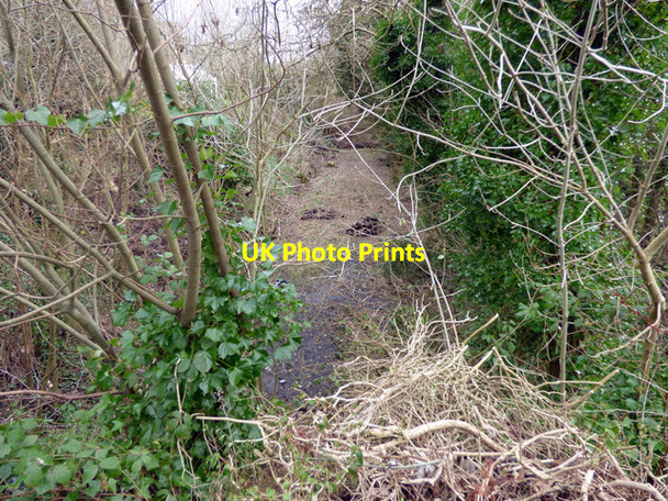 Photo 6"x4" Former Potterhill Branch railway line Paisley c2016 P2