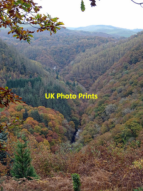 Photo 6"x4" Cwm Rheidol Devil's Bridge\/Pontarfynach c2016 P1