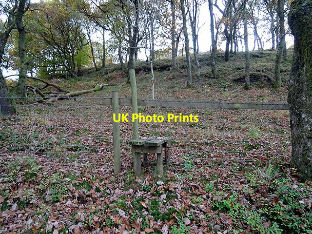Photo 6"x4" Stile in Coed Ty'n-y-castell Devil's Bridge\/Pontarfynach c2016