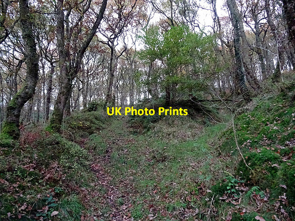 Photo 6"x4" Ancient roadway in Coed Ty'n-y-castell Devil's Bridge\/Pontarfynach c2016