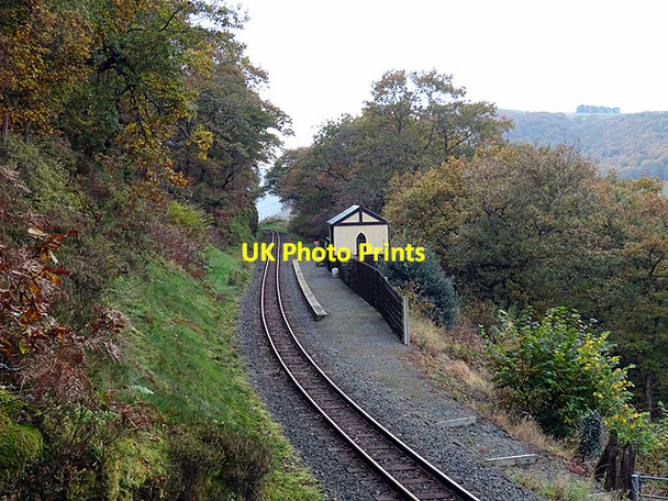 Photo 6"x4" Rhiwfron Station, Vale of Rheidol Railway Devil's Bridge\/Pontarfynach c2016