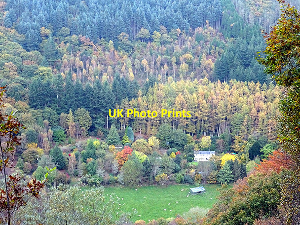 Photo 6"x4" Changing colours Ystumtuen c2016
