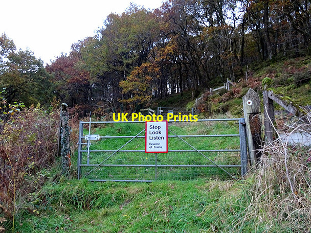 Photo 6"x4" The crossing at the east of Rhiwfron station Devil's Bridge\/Pontarfynach c2016