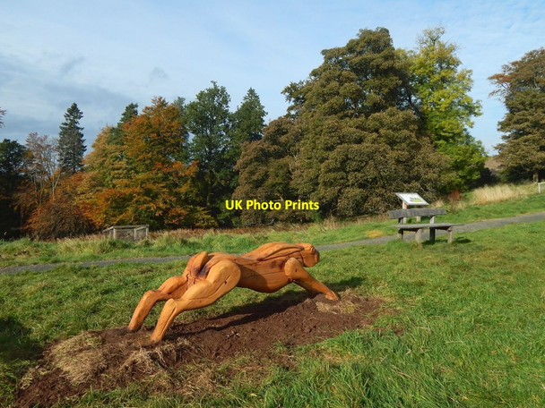 Photo 6"x4" Lang Craigs Woodland: low-level path Dumbarton c2016