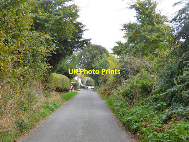 Photo 6"x4" Mill Lane, Bradfield Bradfield\/TM1430 c2016