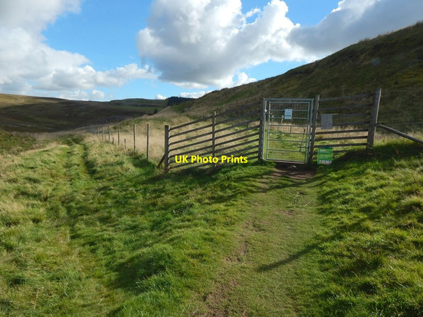 Photo 6"x4" Gate in fence Bellsmyre c2016