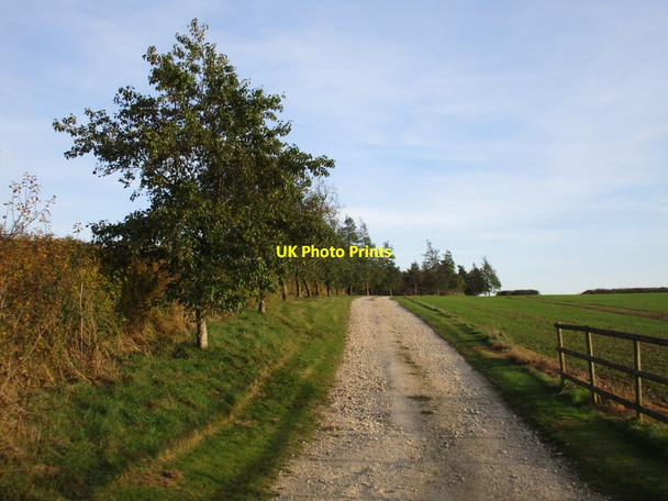 Photo 6"x4" Roadway to Falcutt Barn Falcutt c2016