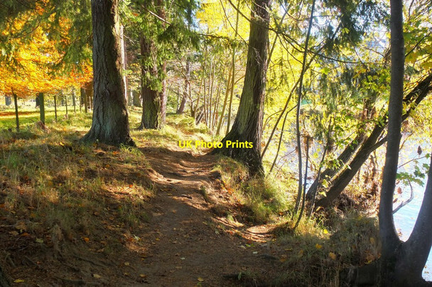 Photo 6"x4" Riverside path near Kerfield, Peebles Peebles\/NT2540 c2016