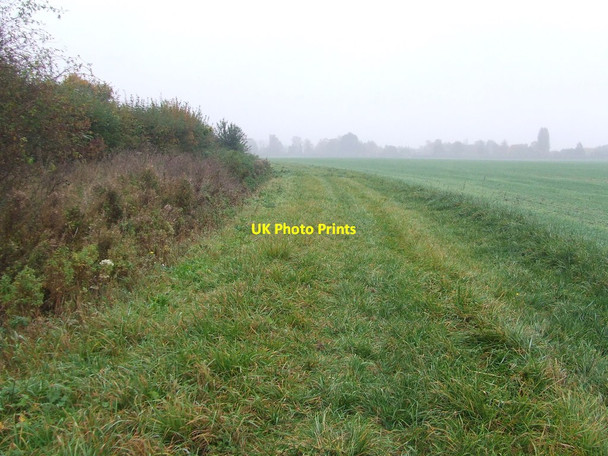 Photo 6"x4" Wide Field Margin Flempton c2016