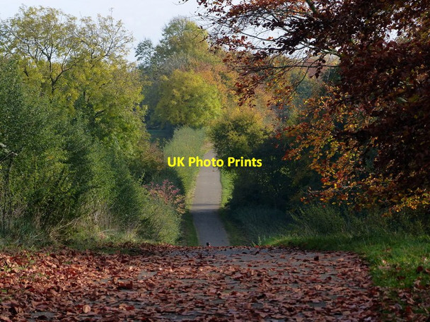 Photo 6"x4" Cycle trail and path at Rutland Water Whitwell\/SK9208 c2016
