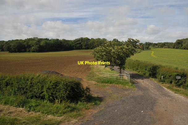 Photo 6"x4" Entrance to Stimpson's Cottages Cumnor Hill c2011