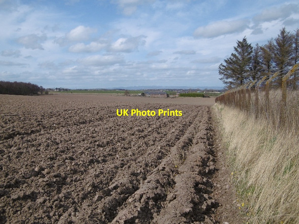 Photo 6"x4" Newly ploughed field, Muirheads Colliston\/NO6045 c2016