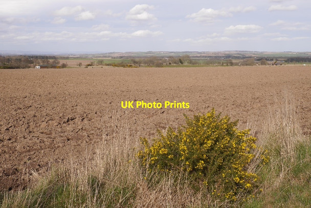 Photo 6"x4" Ploughed field, East Grange of Conon Colliston\/NO6045 c2016