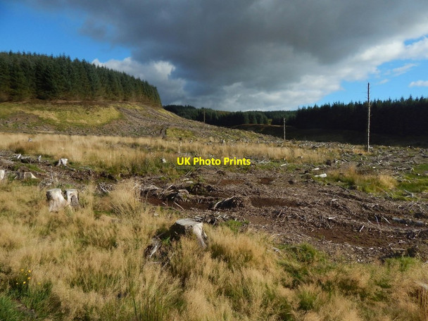 Photo 6"x4" Cleared area beside forestry track Bowling\/NS4473 c2016