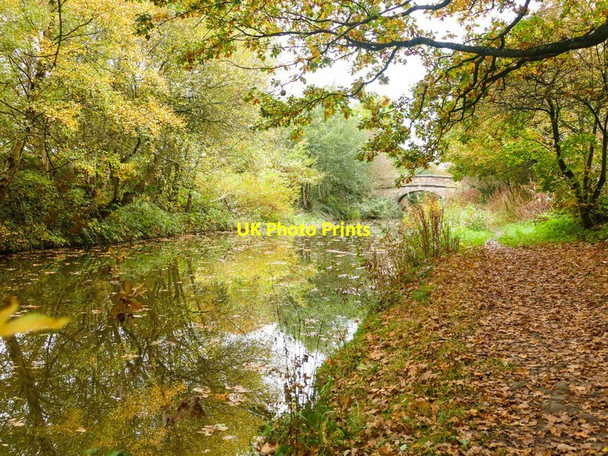 Photo 6"x4" Bridge #59 on the Macclesfield Canal Bosley c2016