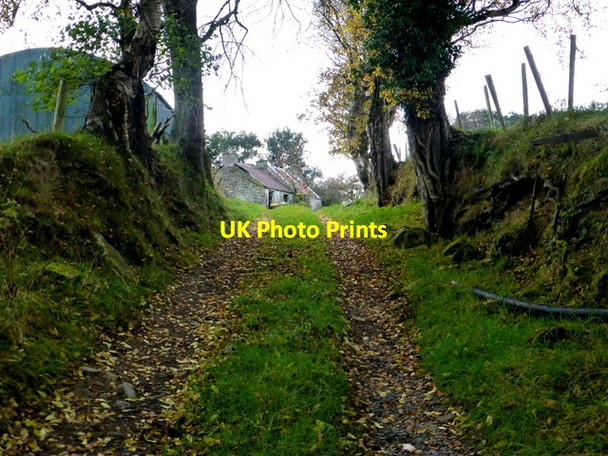 Photo 6"x4" Lane, Carony Drumquin c2016