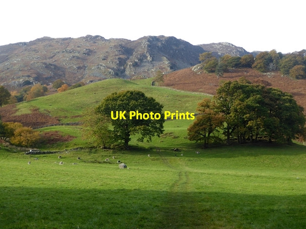 Photo 6"x4" Mountainside above Borrowdale Rosthwaite\/NY2514 c2016
