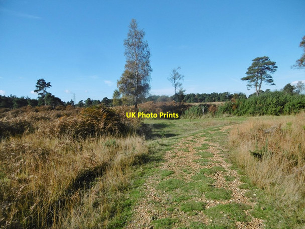 Photo 6"x4" East Holton, path junction East Holton c2016