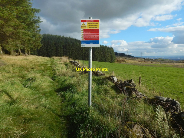 Photo 6"x4" Path to Greenland Reservoir № 3 Milton\/NS4274 c2016