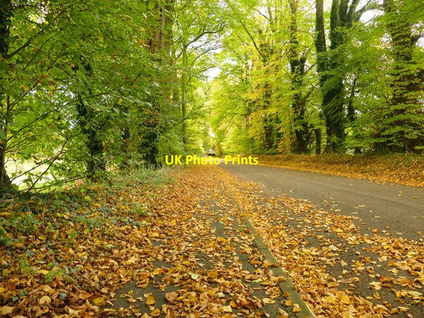 Photo 6"x4" Church Lane, Gawsworth Gawsworth c2016