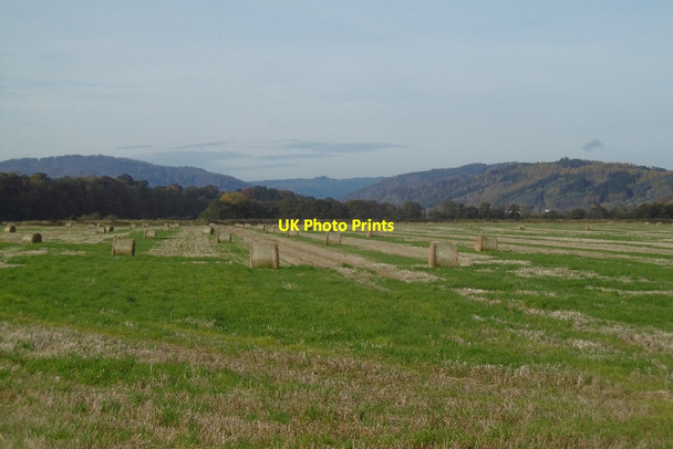 Photo 6"x4" Round bales, Inchtuthil Murthly c2016