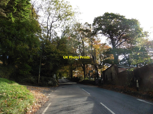 Photo 6"x4" Turning for Witness Moor Lower Cheriton c2016