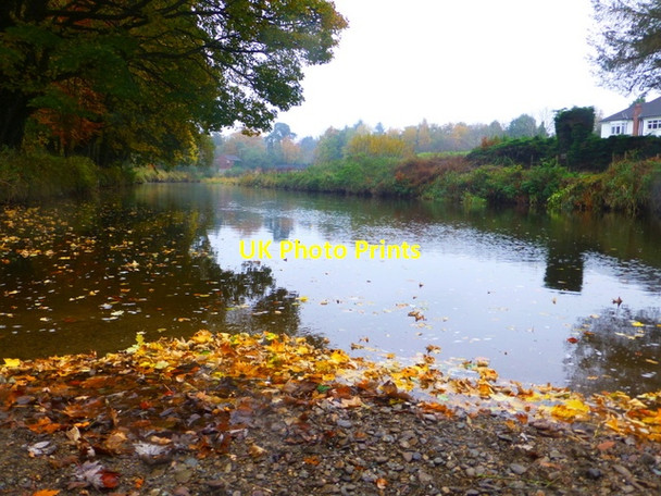 Photo 6"x4" Leaves and gravel, Camowen River Omagh c2016