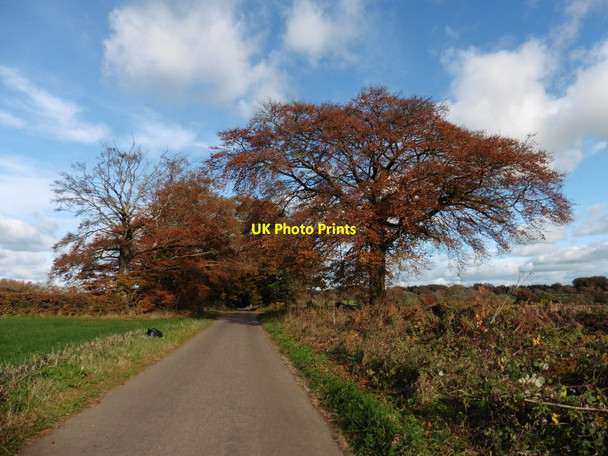 Photo 6"x4" Minor road to Wolverstone Cross Wolverstone c2016