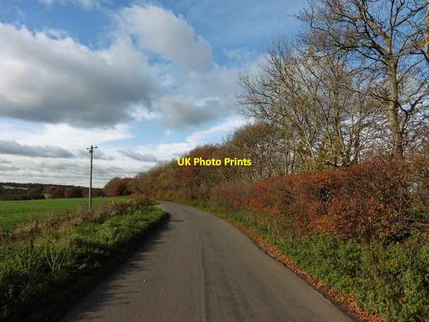 Photo 6"x4" Golden Lane Highwood\/ST1406 c2016