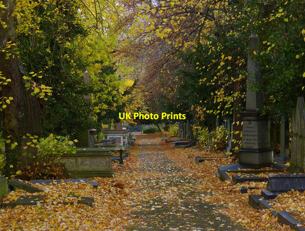 Photo 6"x4" Path through Welford Road Cemetery Leicester c2016