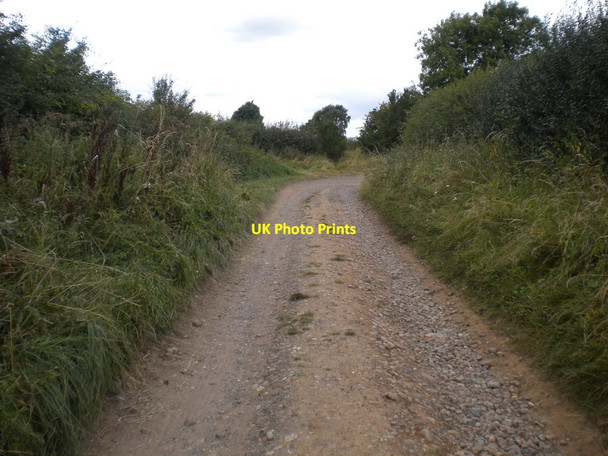 Photo 6"x4" Wolds Lane south of Clipston (2) Clipston\/SK6334 c2016